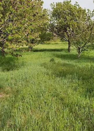 Deep Cave House Villa